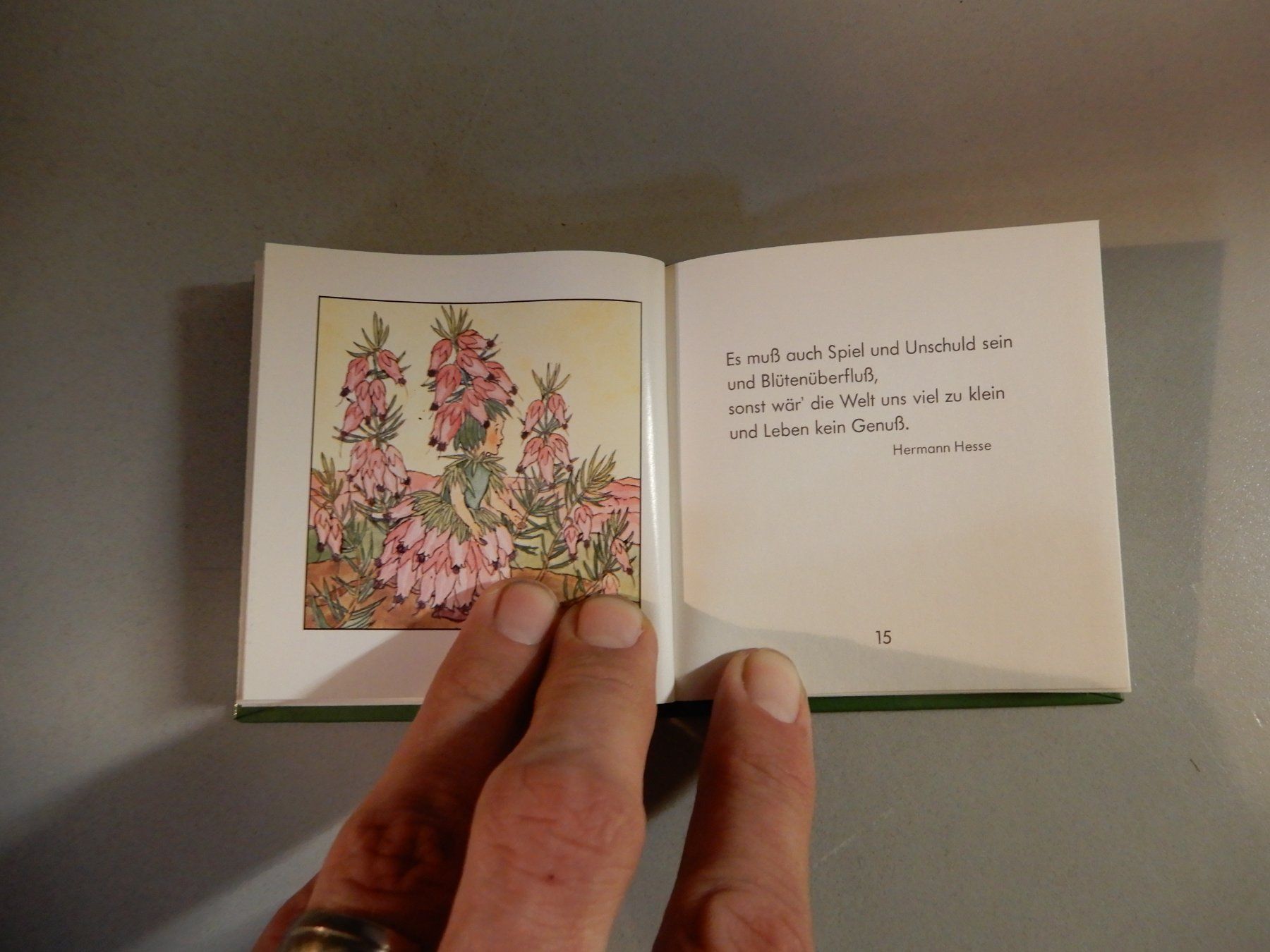Libri: Blumenkinder - Die kleine Freude - ars edition Buch – Usato da Erstfeld venduto da Mario_boe0 8