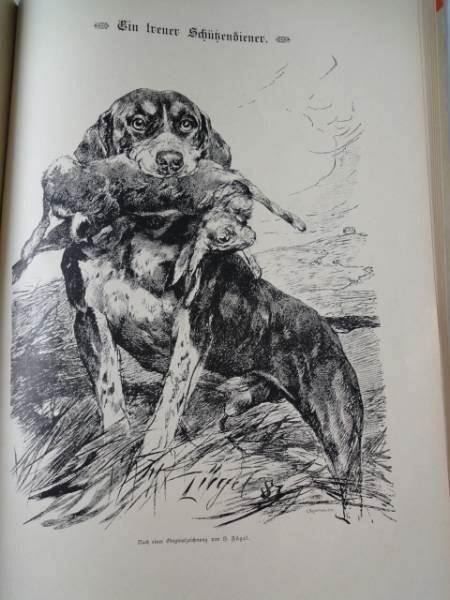 Libri: Jägerluft und Schützenfreund - 1890 – Usato da Chur venduto da omonia 9