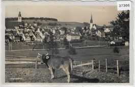 Degersheim - Generalansicht mit Kuh vache cow