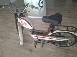 Mofa sehr selten Gioella