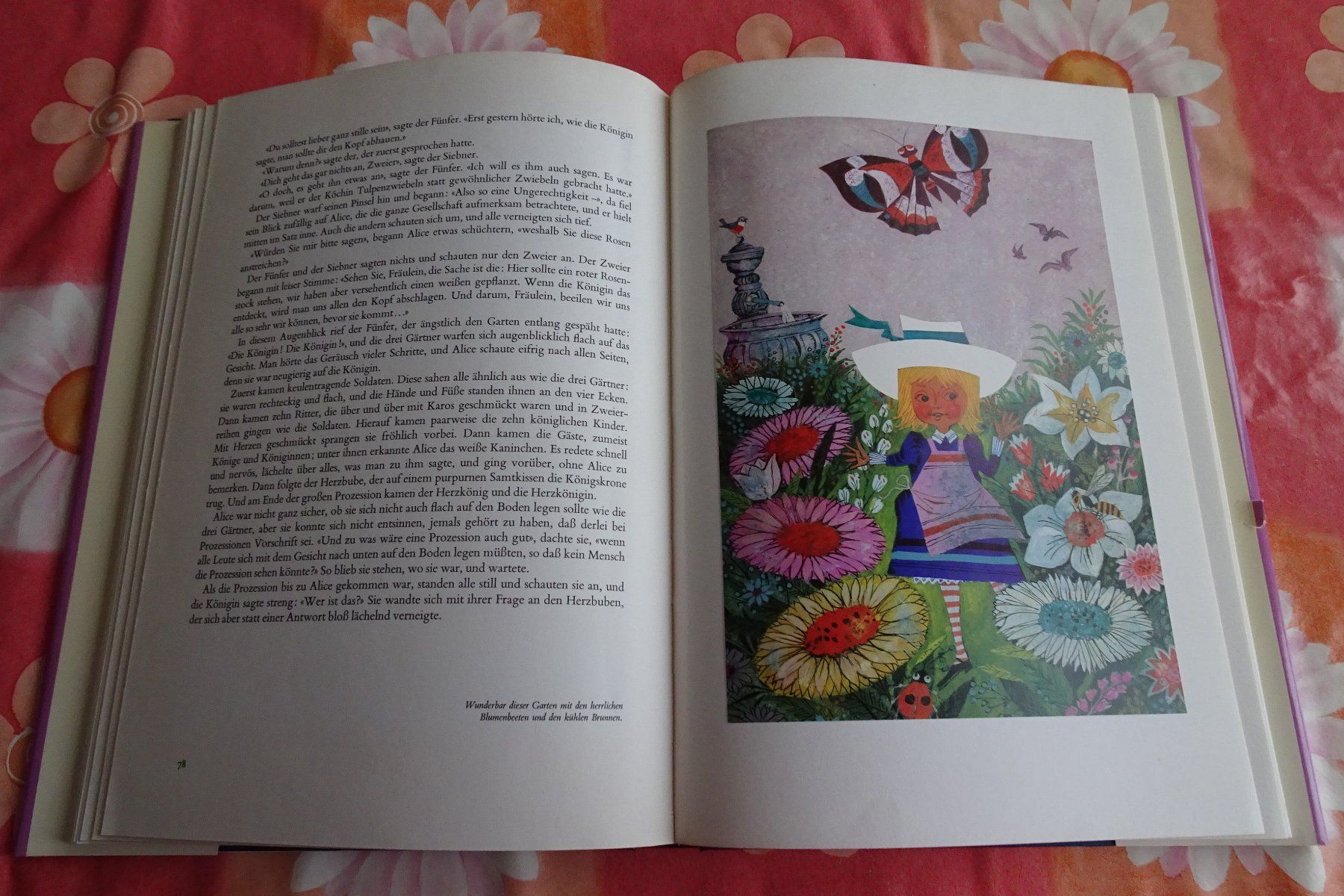Libri: Silva Buch Alice im Wunderland – Usato da Strengelbach venduto da schmetterling20 5