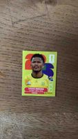 Panini Sticker Siyabonga Ngezana gebrauchter Zustand