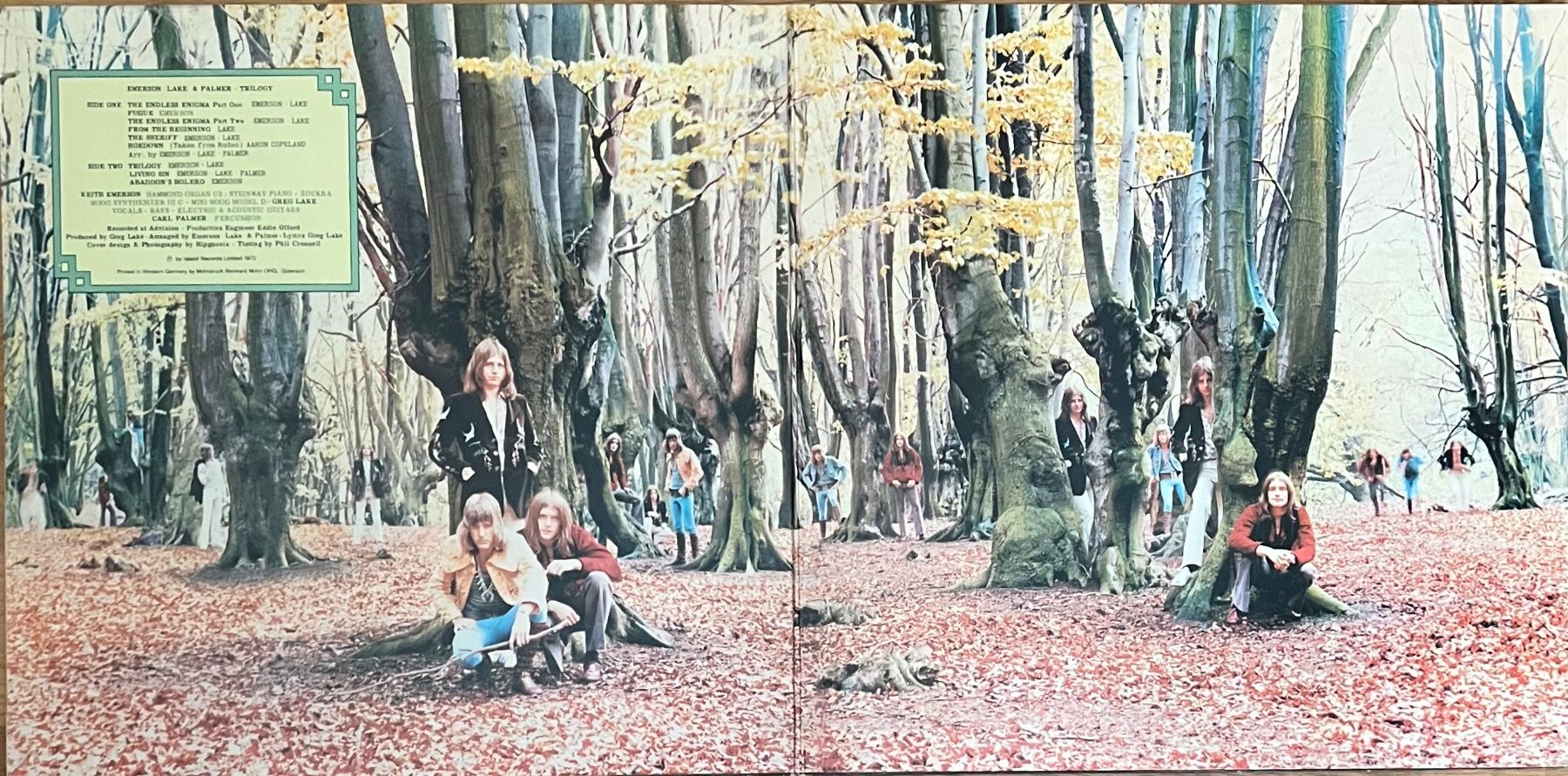 Dischi in vinile: EMERSON LAKE & PALMER - TRILOGY – Usato da Horw venduto da Belowzero0 2