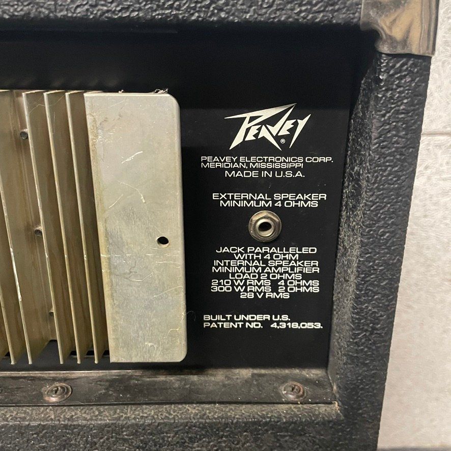 Peavey Amplificatori: Peavey Combo 300 Bassverstärker – Usato da Zürich venduto da zoopsel 6