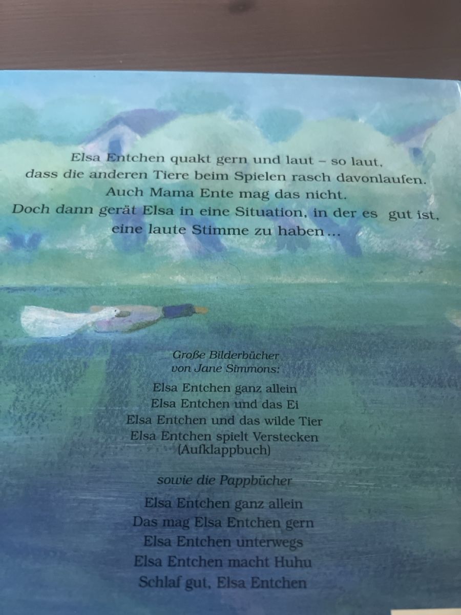 Libri: Elsa Entchen - ganz laut – Usato da Seon venduto da Sunny-Schmuck78 1