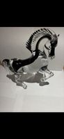 Cheval en verre avec couleur noir sur le dos