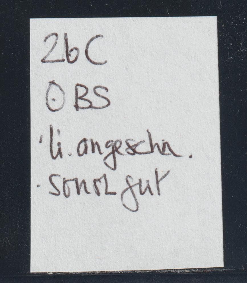 Alle Briefmarken: Strubel 26 C mit Stempel BASEL – Gebraucht aus Siebnen von Fstaehli 2