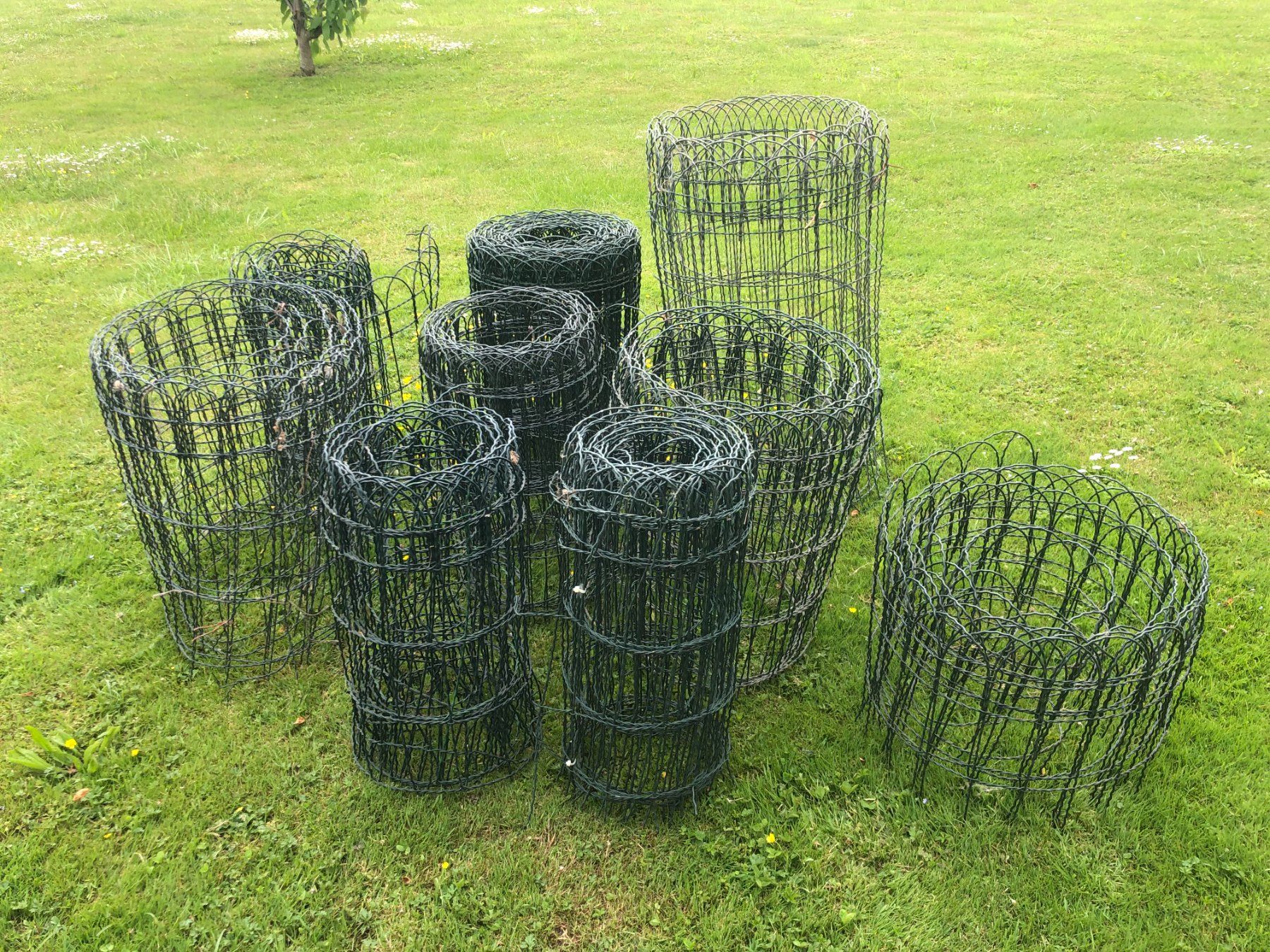Fendivista: Ziergitter, Zaun grün – Usato da Steckborn venduto da Taza