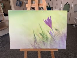 Wandbild Blumenmotiv violett gelb 75x50cm