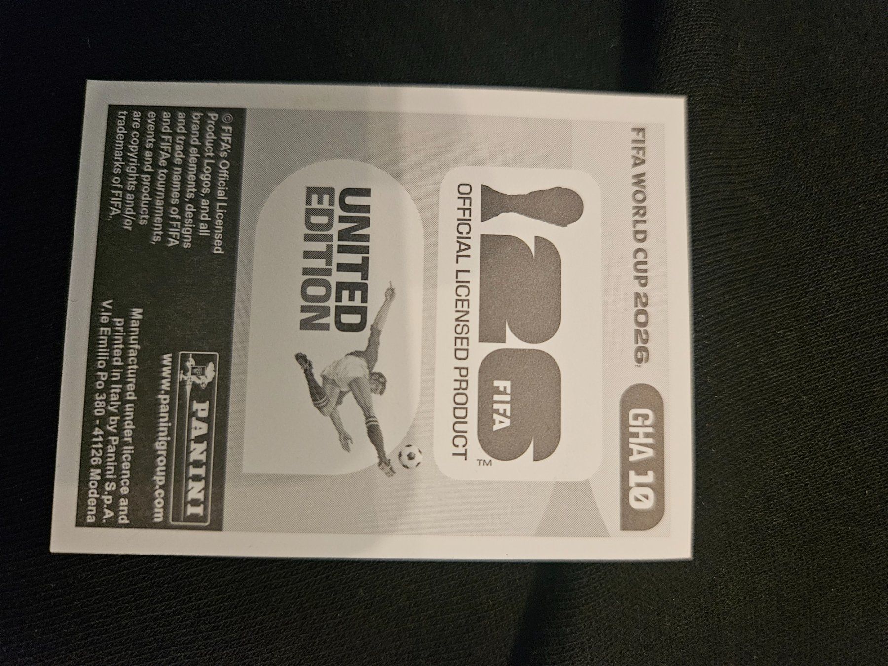 Panini Carte collezionabili: GHA10 – Usato da Würenlingen venduto da Dinli 1