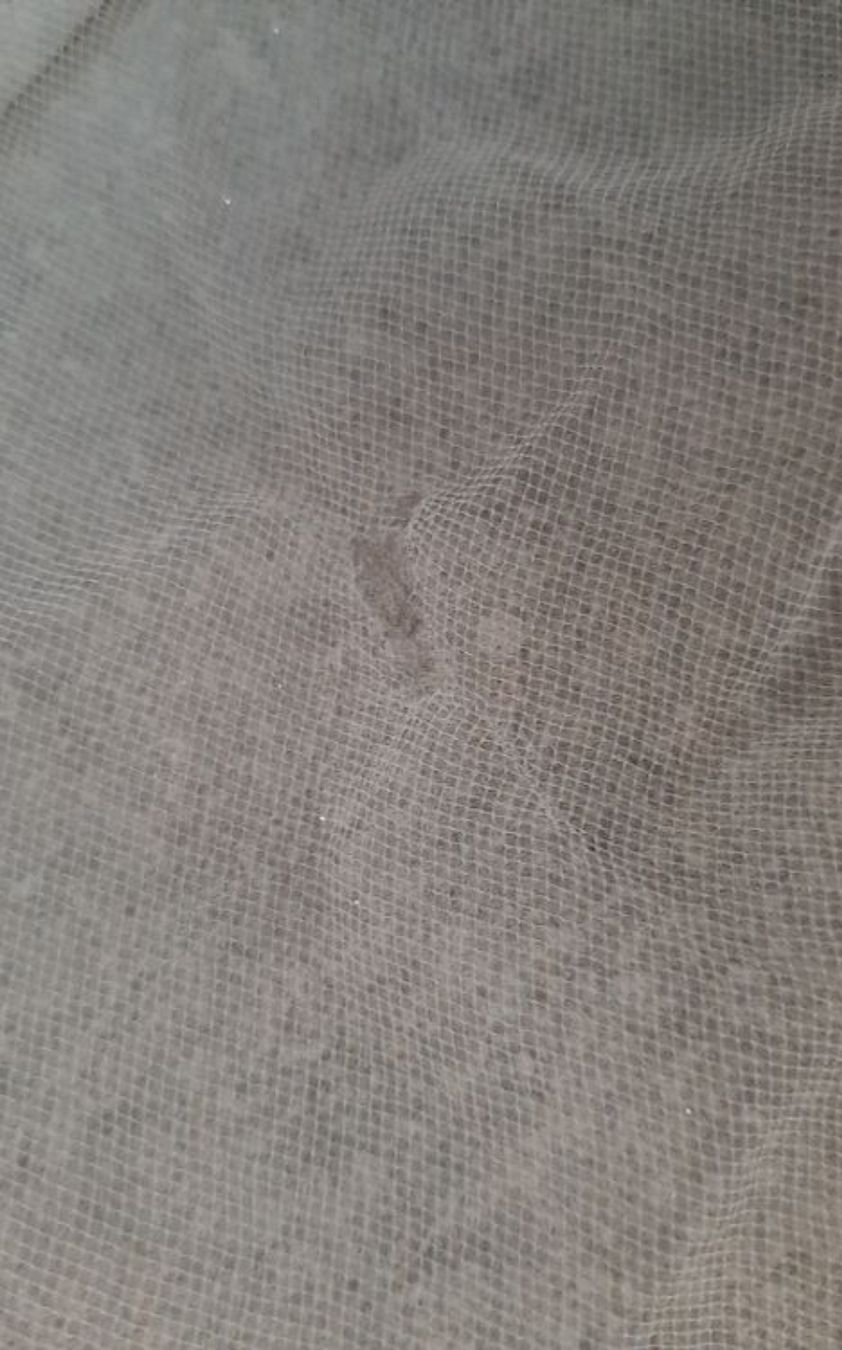 Vestiti: Brautkleid Papillon Gr. 34 – Usato da Montlingen venduto da Eifach_nur_Bellinda 4