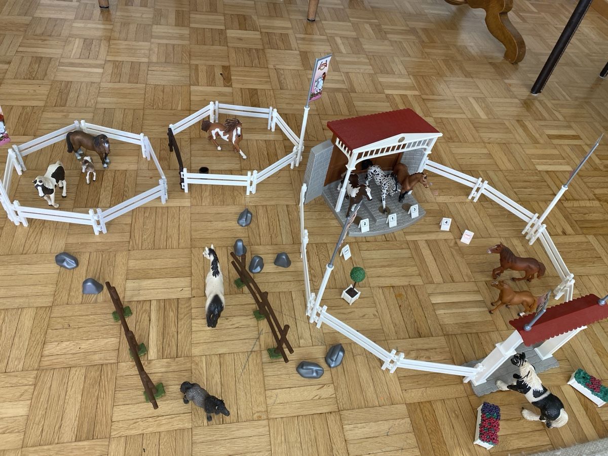 Schleich Spielzeuge: Pferde Turnier mit 12 Schleichpferden – Gebraucht aus zürich von Lupilou 1