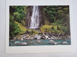 Wunderschöne Fotografie Haast Neuseeland Wasserfall