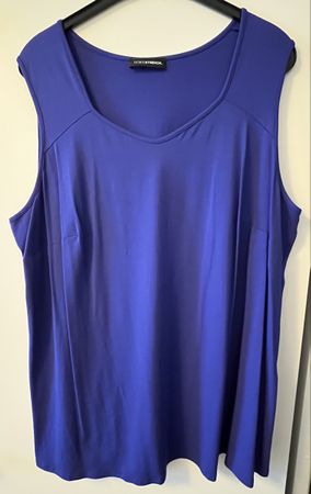 Doris Streich Shirt, Gr. 52 Blau, Sommerlich & Bequem!