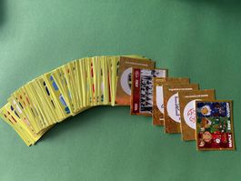 Panini WM 2026 100 Karten