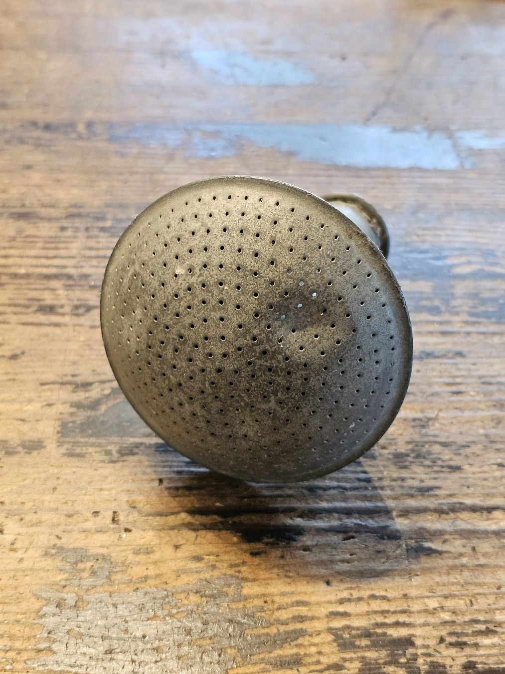 Humidifier & Arroser: Giesskannenbrause – D'occasion à Meisterschwanden par Hummer21 1