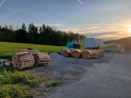 Brennholz Trocken in allen längen
