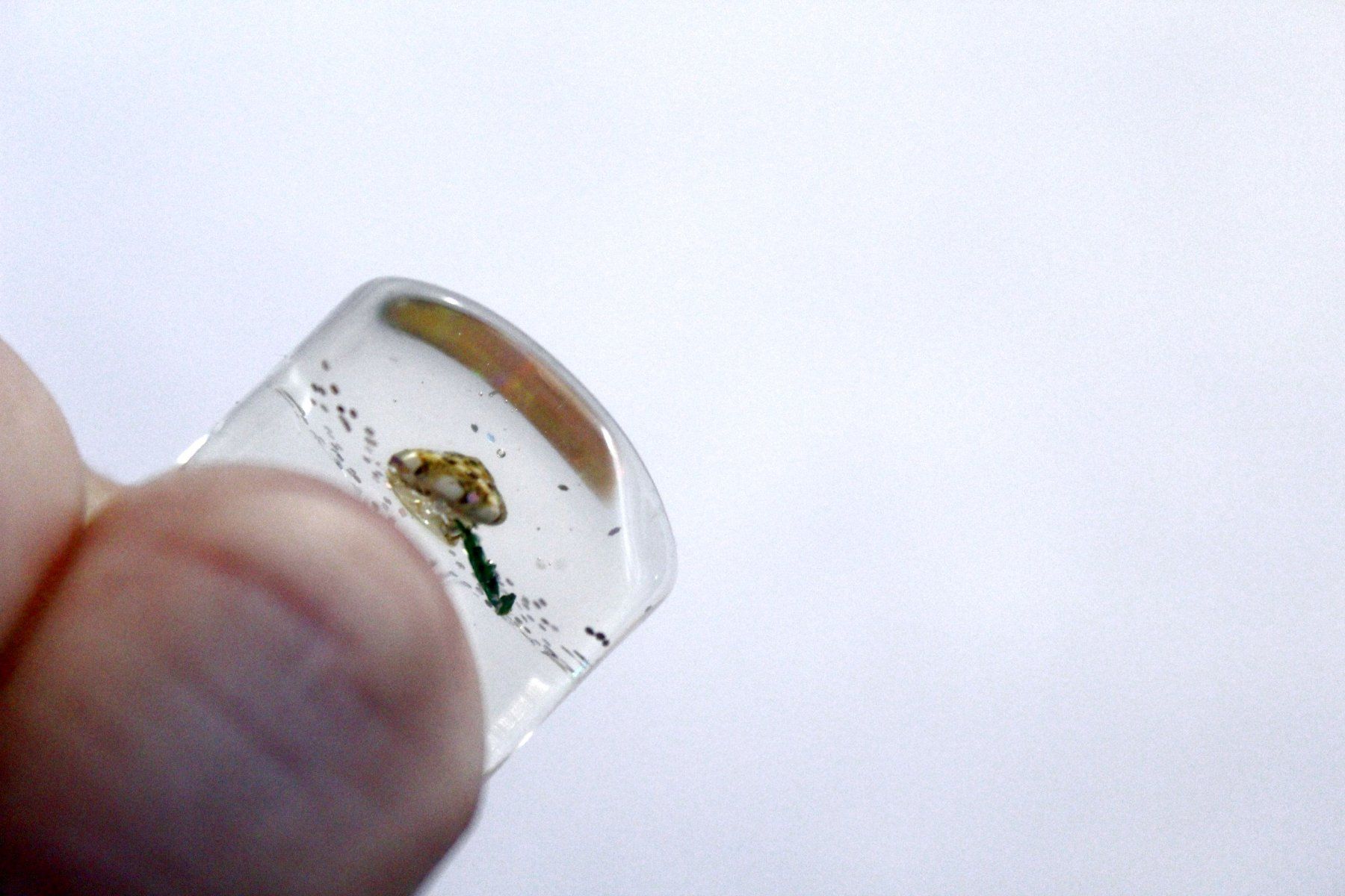Ringe: Vintage Space-Age - Ring mit Muschel, Seestern, Seeigel, usw – Neu (gemäss Beschreibung) aus Bern von Vitaneuf 3