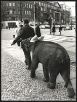Fotografie Berlin, Kurfürstendamm Ecke 
