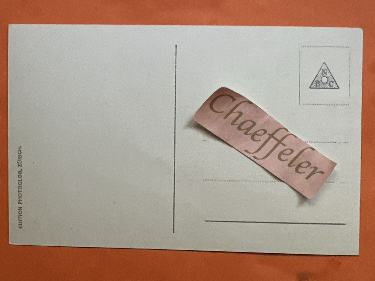 Cartoline postali: Ansichtskarte Wengen mit Lauterbrunnental alt – Usato da Zürich venduto da Chaeffeler 1