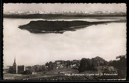AK Ligerz /Bielersee, Totalansicht mit St. Petersinsel