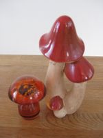 Schönes Pilz Gruppe mit einem Glas Pilz