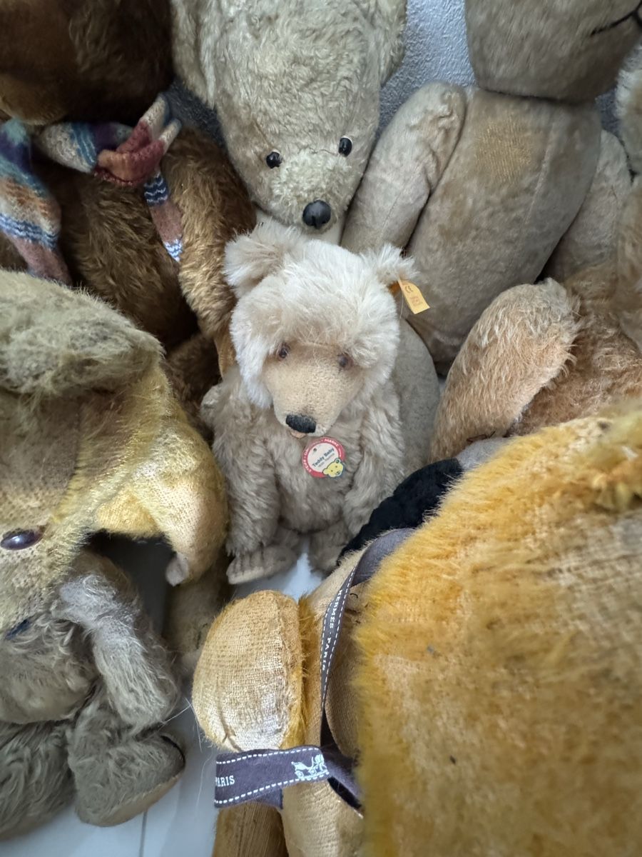 Steiff Giocattoli: Collection de ours en peluche vintage – Usato da St-léonard venduto da LUXURYCOQUOZ 4