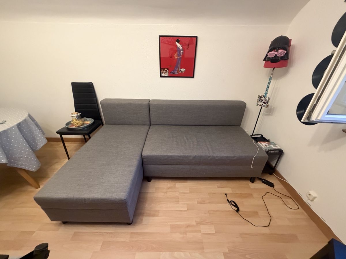 Ikea Sofas: Divano Letto IKEA ANGSTA – D'occasion à Uitikon Waldegg par DajeRomaDaje