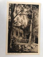 Hotel u Pension Au  (Wädenswil)