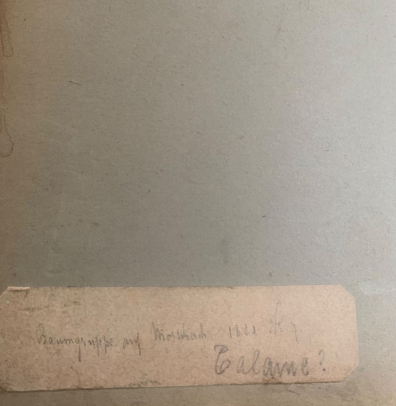 Dipinti: Schweizer Schule 19. Jh – Usato da Wolfhalden venduto da SecondAntique 7