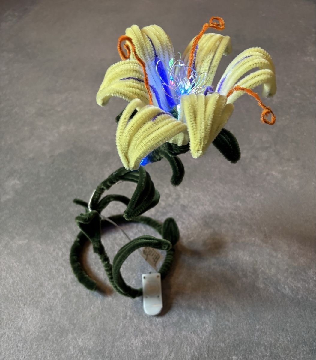 Tutte le decorazioni: Rapunzel Pfeifenreiniger Lampe – Nuovo e nell'imballaggio originale da Ramosch venduto da Lalaromi-80 1