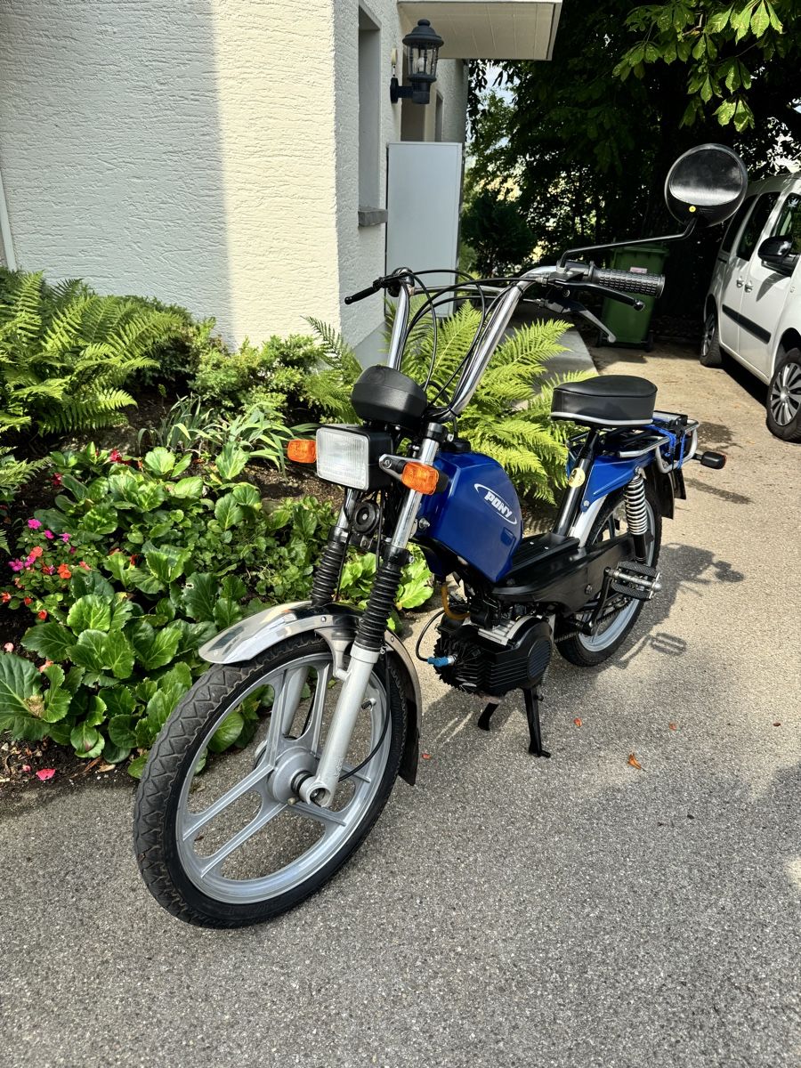 Pony Mofas: Mofa Pony mit E -Starter  – Gebraucht aus Hedingen von ari_wz2s 1