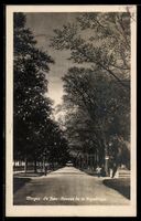 AK Morges, Le Parc-Avenue de la République