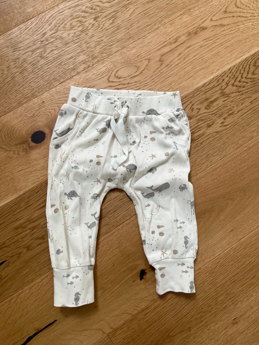 Hosen: Hose von Staccato – Gebraucht aus Islikon von jul_76j2