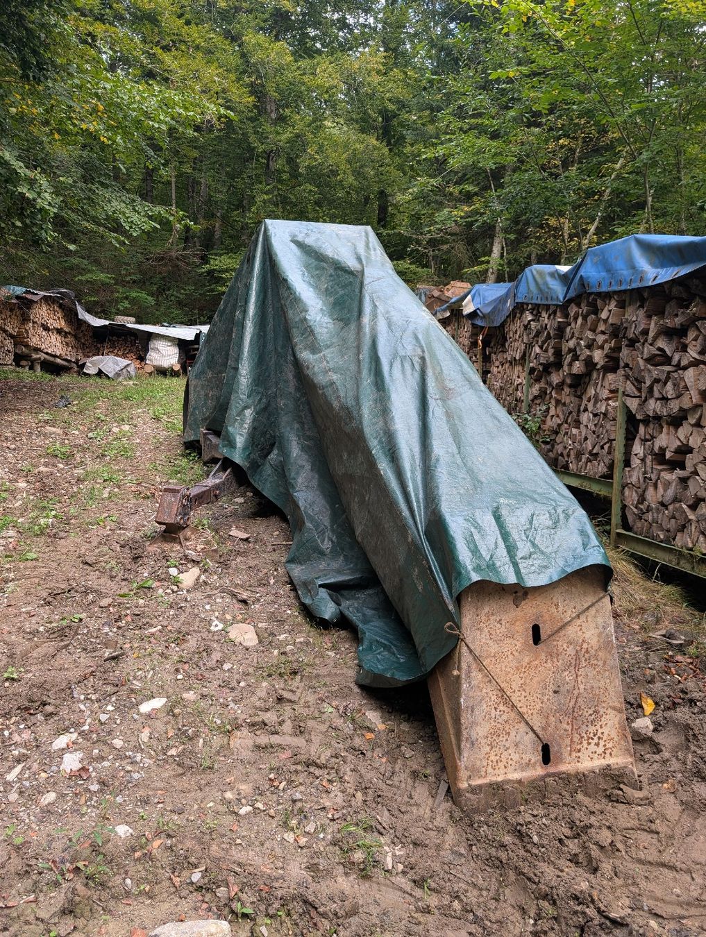 Menzi Muck Escavatori: Menzi Muck 3000 T1 – Usato da Siebnen venduto da chnuschti69 6