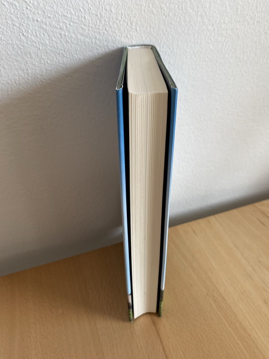 Bücher: Die Wanderpfarrerin - Hetty Overeem – Gebraucht aus Schwarzenburg von Michellu 2
