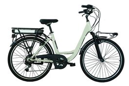 BICICLETTA RECORD GI CITY NUOVA PANNA GARANZIA 2 ANNI