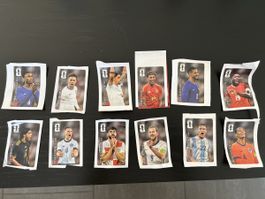 Panini Coca Cola Sticker Set