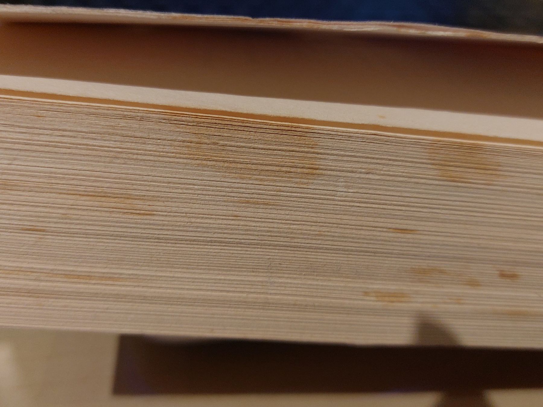 Libri: Anne Rice "Die Mumie oder Ramses der Verdammte" – Usato da Samstagern venduto da Bladetigi 2