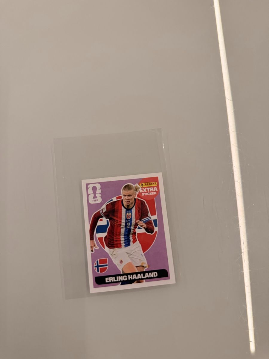 Panini Carte collezionabili: Panini Extra Sticker Lila Haaland – Nuovo (secondo la descrizione) da Muhen venduto da goe_w2sd