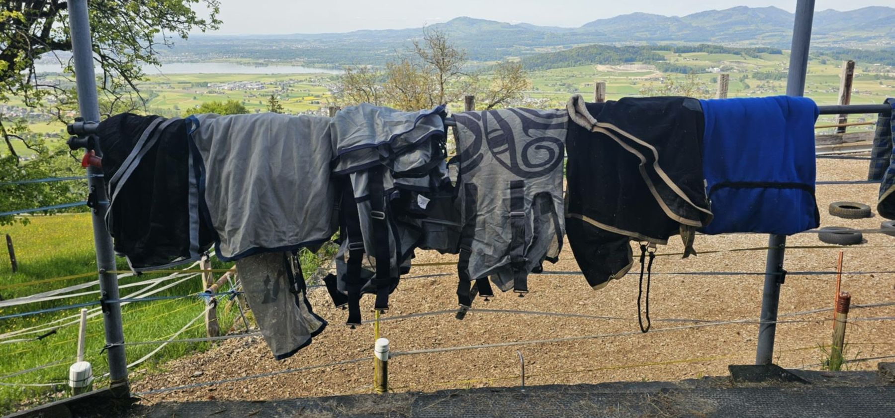 Zaumzeug & Halfter: Pferdezubehör – Gebraucht aus Galgenen von Nat_29vg