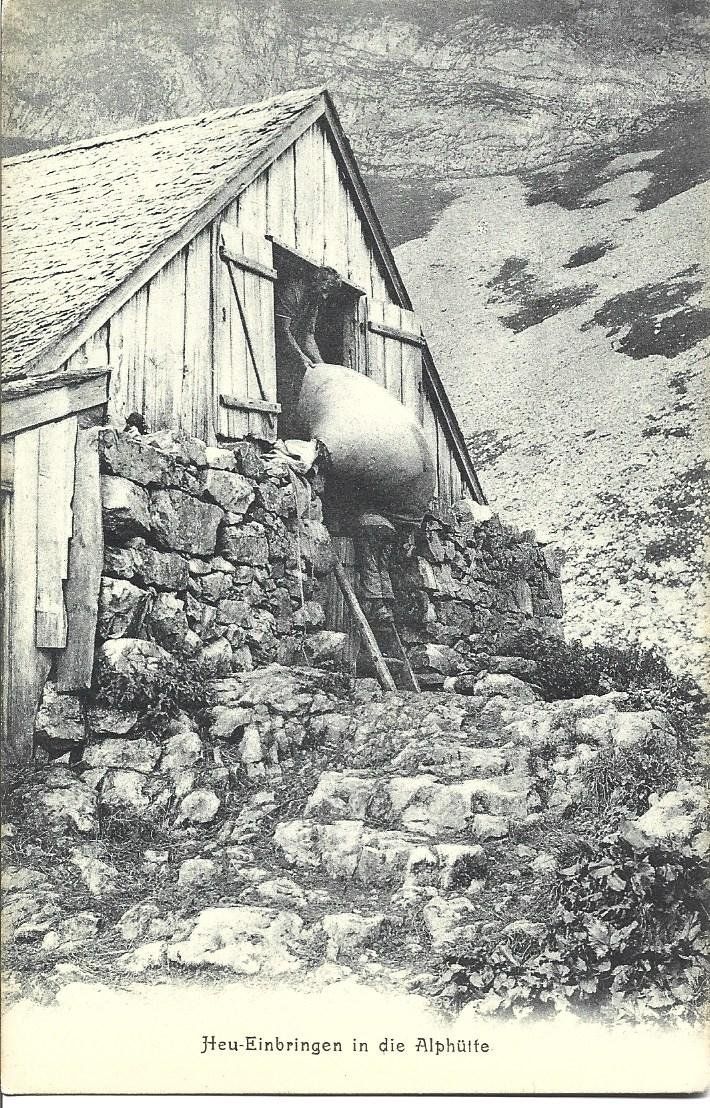 Ansichtskarten: AK  Landwirtschaft  Heuernte – Gebraucht aus Appenzell von mai25