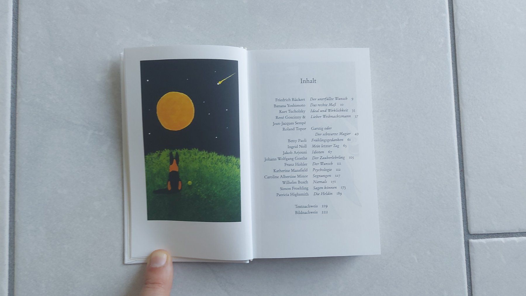 Libri: Wünsch dir was - Geschichten und Gedichte – Nuovo (secondo la descrizione) da Lachen SZ venduto da peace0 2