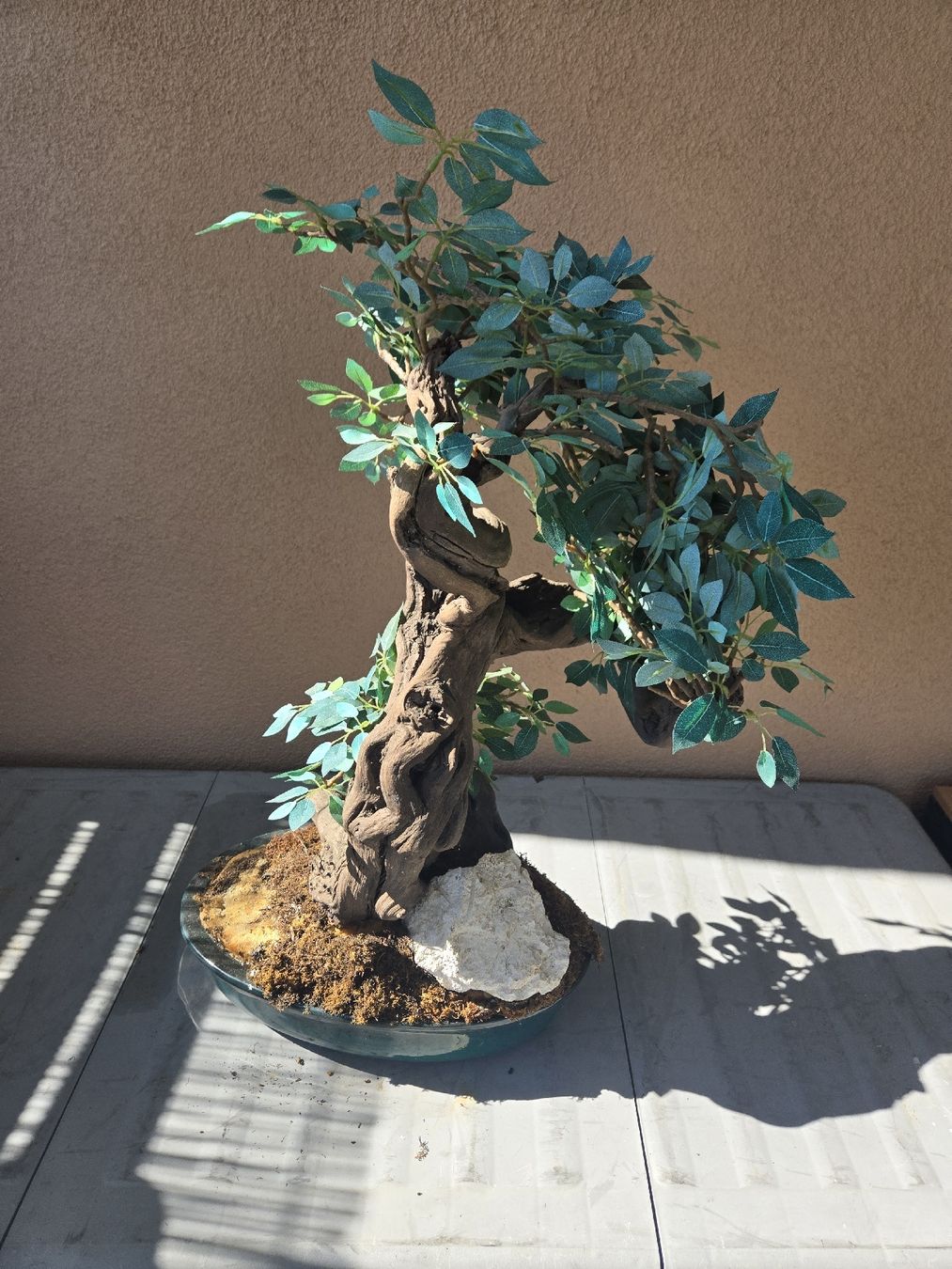 Tutte le decorazioni: Deko Kunst Bonsai Pflanze – Usato da Gutenburg venduto da shinobi0072