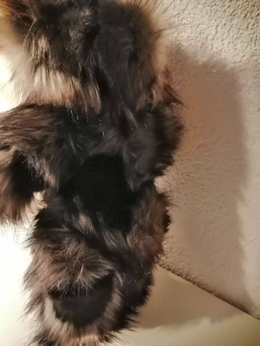 Bambole: Hübscher TEDDY, Teddybär handmade – Usato da Nunningen venduto da silvermoon68 3