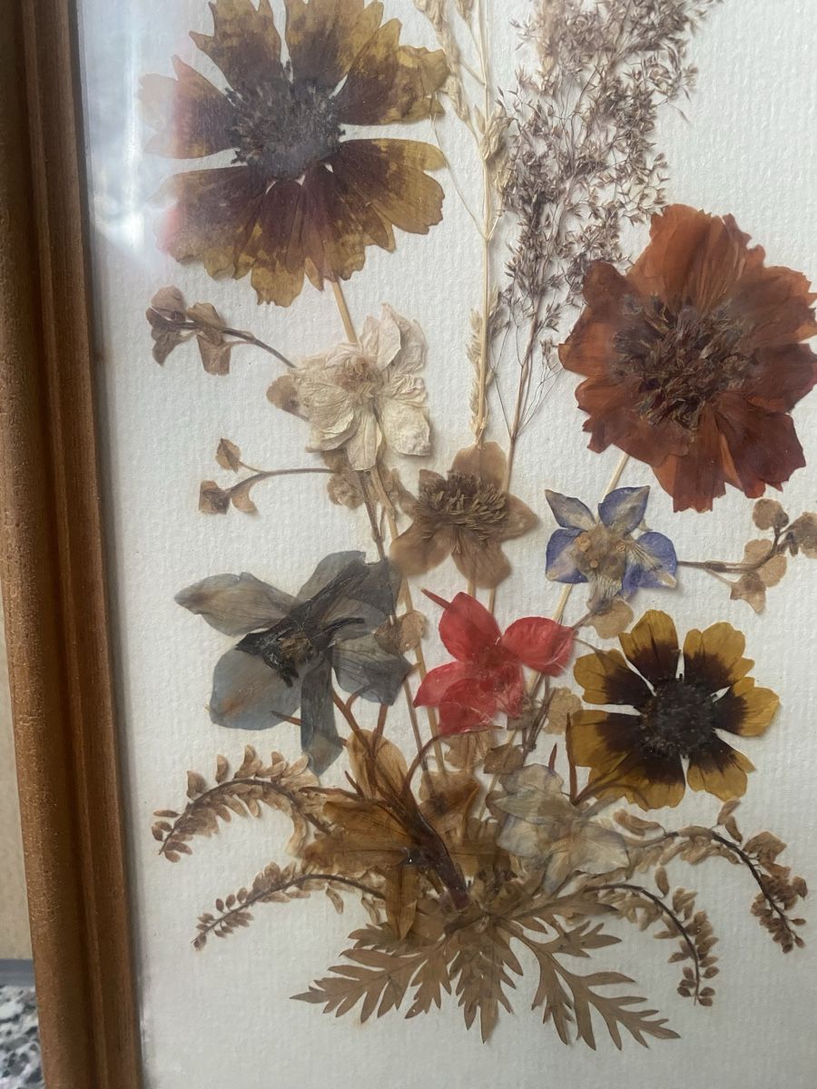 Foto & Immagini: Bild trocken Blumen 32x15x2cm – Usato da Seewen SZ venduto da shaky01 1