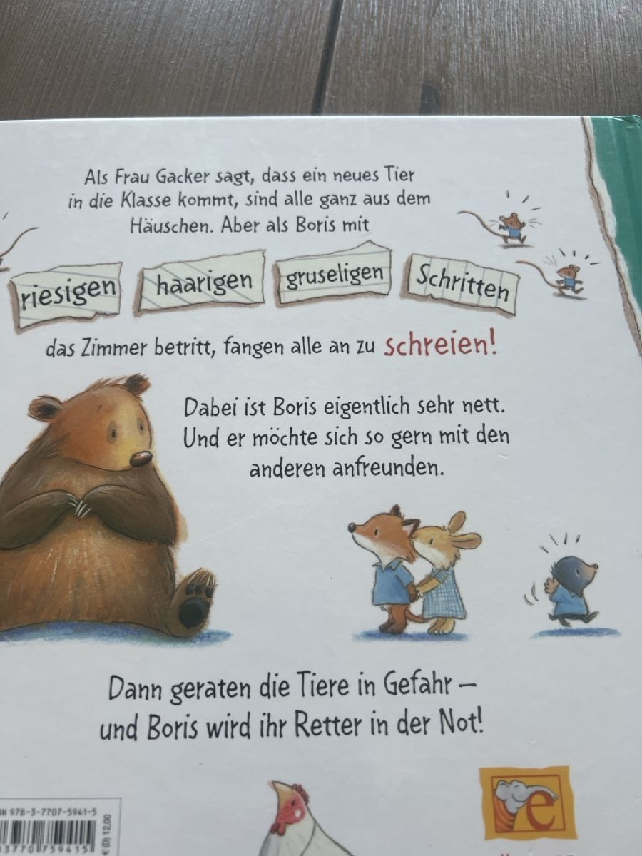 Libri: Kinderbuch "Ach, Boris!"  – Usato da Seon venduto da Sunny-Schmuck78 1