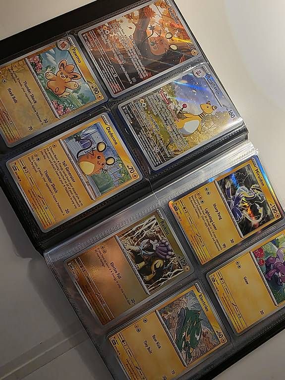 Pokémon Carte collezionabili: Pokémon Portfolio – Usato da Jens venduto da tra_da87 2