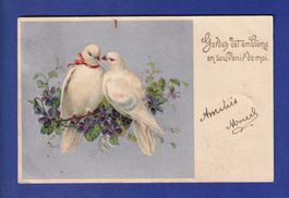 OISEAU - Colombes - Carte gauffrée