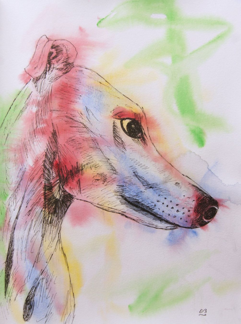 Dipinti: Zeichenbuch mit Tier Aquarellen – Usato da Fribourg venduto da erw_68dx 6
